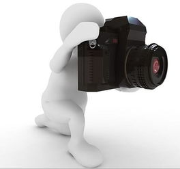 来自发际线男孩的凝视 当免费遭遇“别碰”的摄影服务