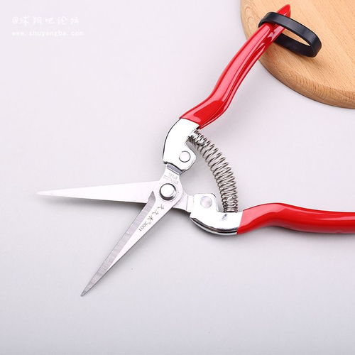 引领电商视觉升级 专业产品拍摄与页面设计服务